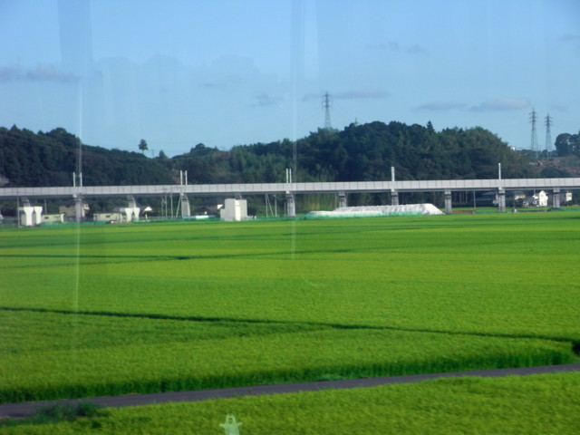 f:id:tokagex:20100804173724j:image