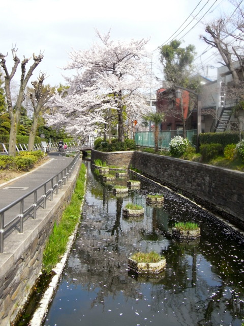 f:id:tokagex:20110410014052j:image f:id:tokagex:20110410014052j:image