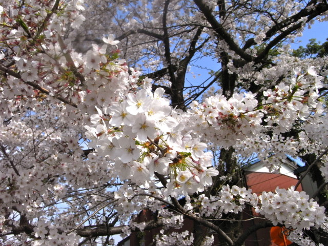 f:id:tokagex:20110410014148j:image f:id:tokagex:20110410014148j:image