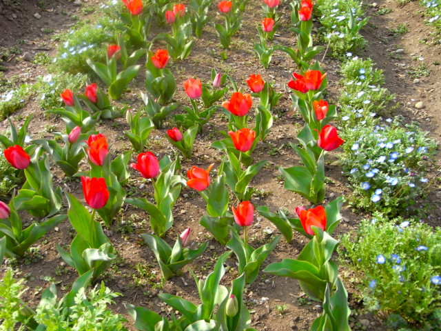 f:id:tokagex:20110410020606j:image f:id:tokagex:20110410020606j:image