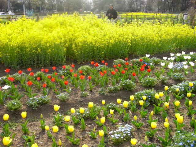 f:id:tokagex:20110410020621j:image f:id:tokagex:20110410020621j:image