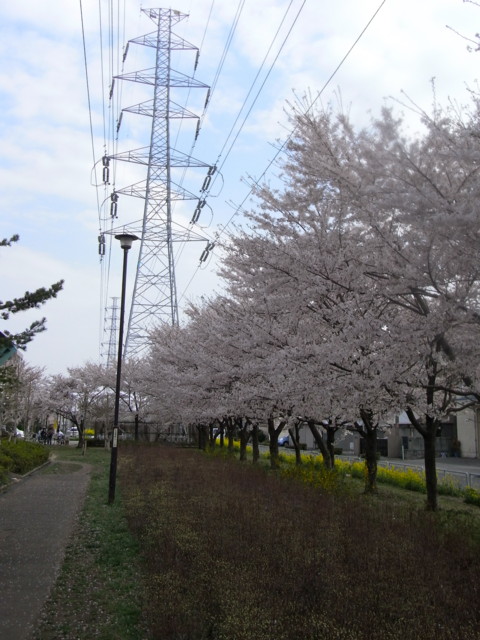 f:id:tokagex:20110410022334j:image f:id:tokagex:20110410022334j:image
