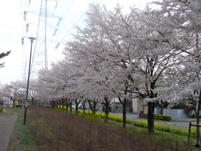 f:id:tokagex:20110410022341j:image f:id:tokagex:20110410022341j:image