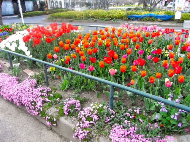 f:id:tokagex:20110410022851j:image f:id:tokagex:20110410022851j:image