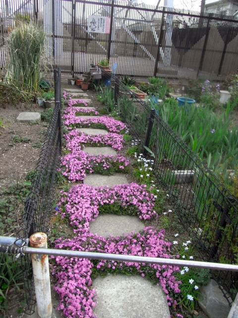 f:id:tokagex:20110410022907j:image f:id:tokagex:20110410022907j:image