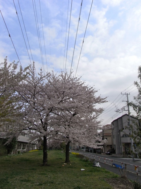 f:id:tokagex:20110410023131j:image f:id:tokagex:20110410023131j:image