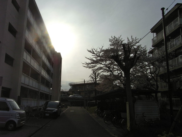 f:id:tokagex:20110410031121j:image f:id:tokagex:20110410031121j:image