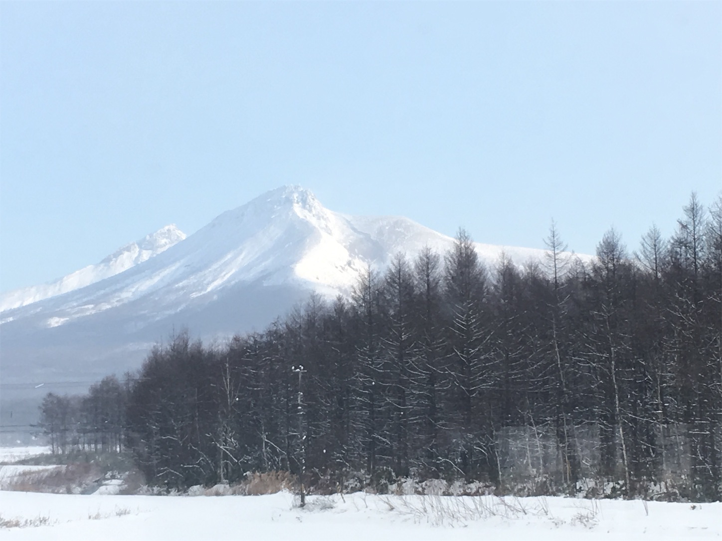 f:id:tokaido233:20190112094106j:image f:id:tokaido233:20190112094106j:image