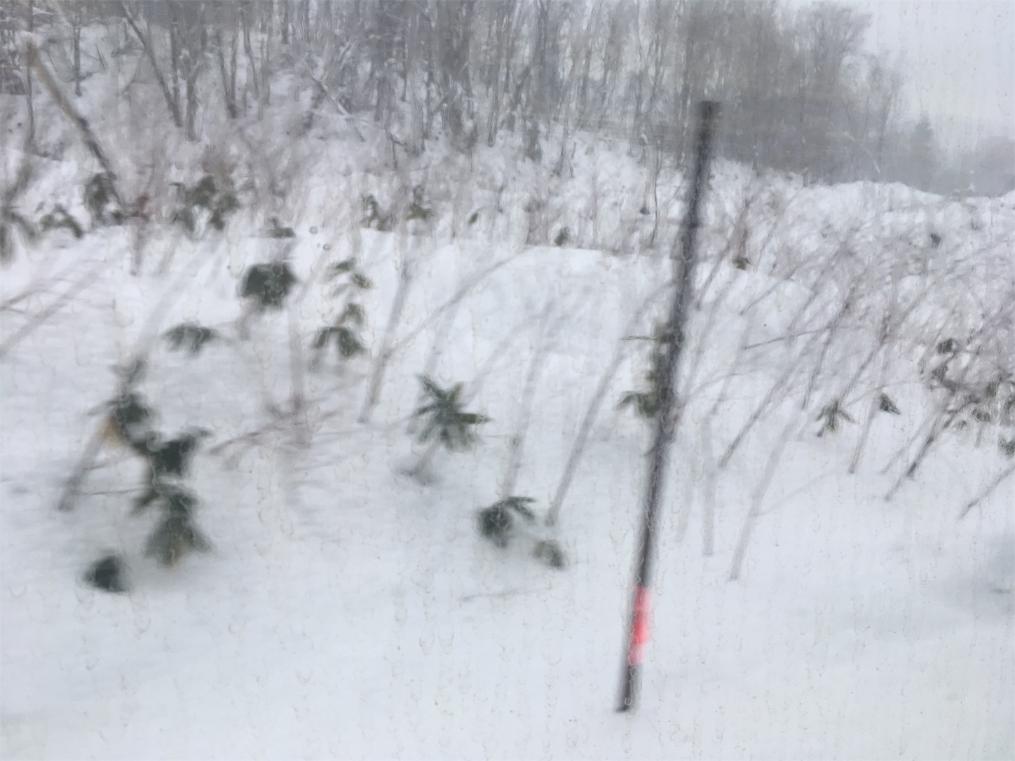 f:id:tokaido233:20190112094818j:image f:id:tokaido233:20190112094818j:image