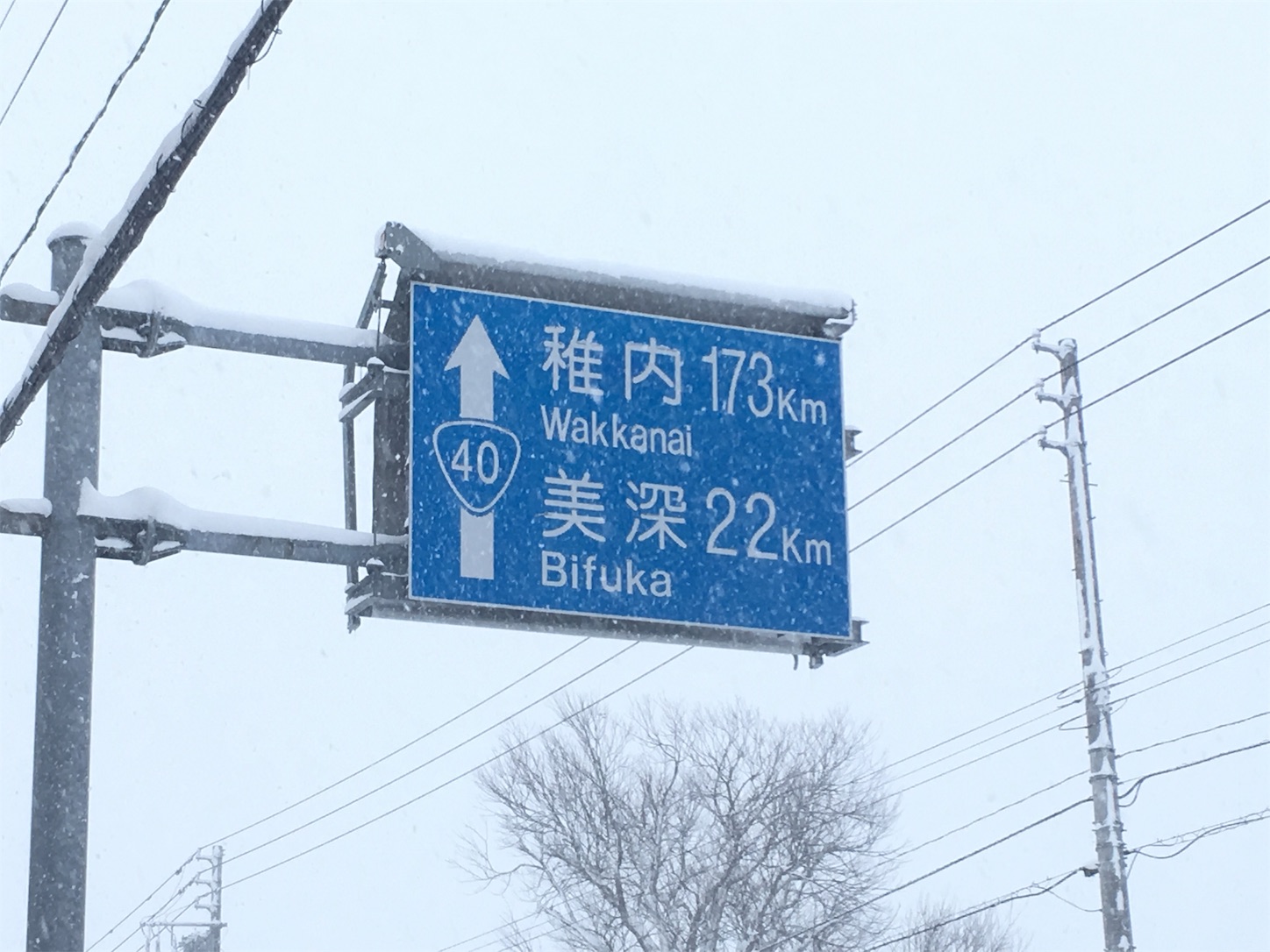 f:id:tokaido233:20190127205307j:image f:id:tokaido233:20190127205307j:image