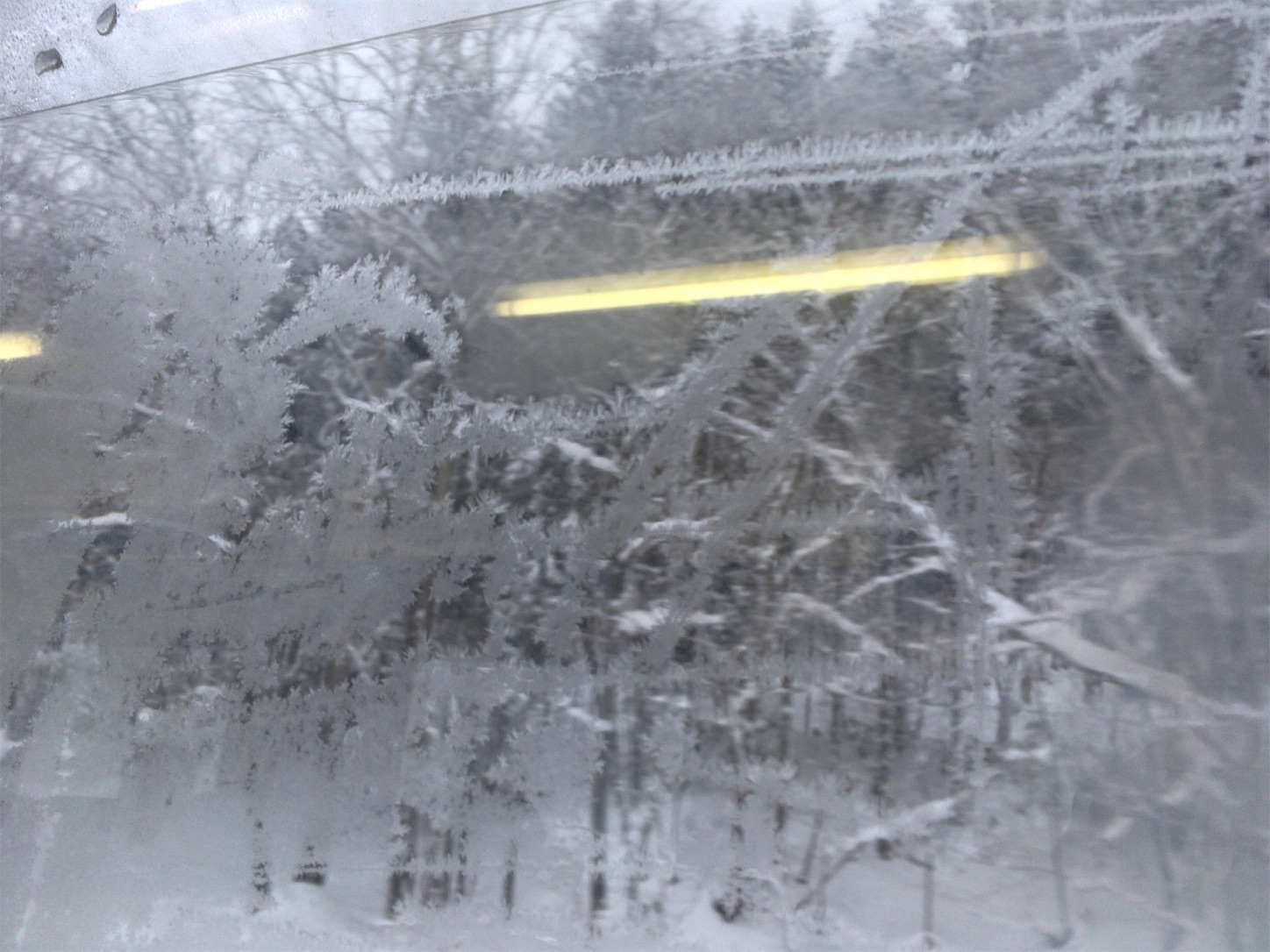 f:id:tokaido233:20190127205326j:image f:id:tokaido233:20190127205326j:image