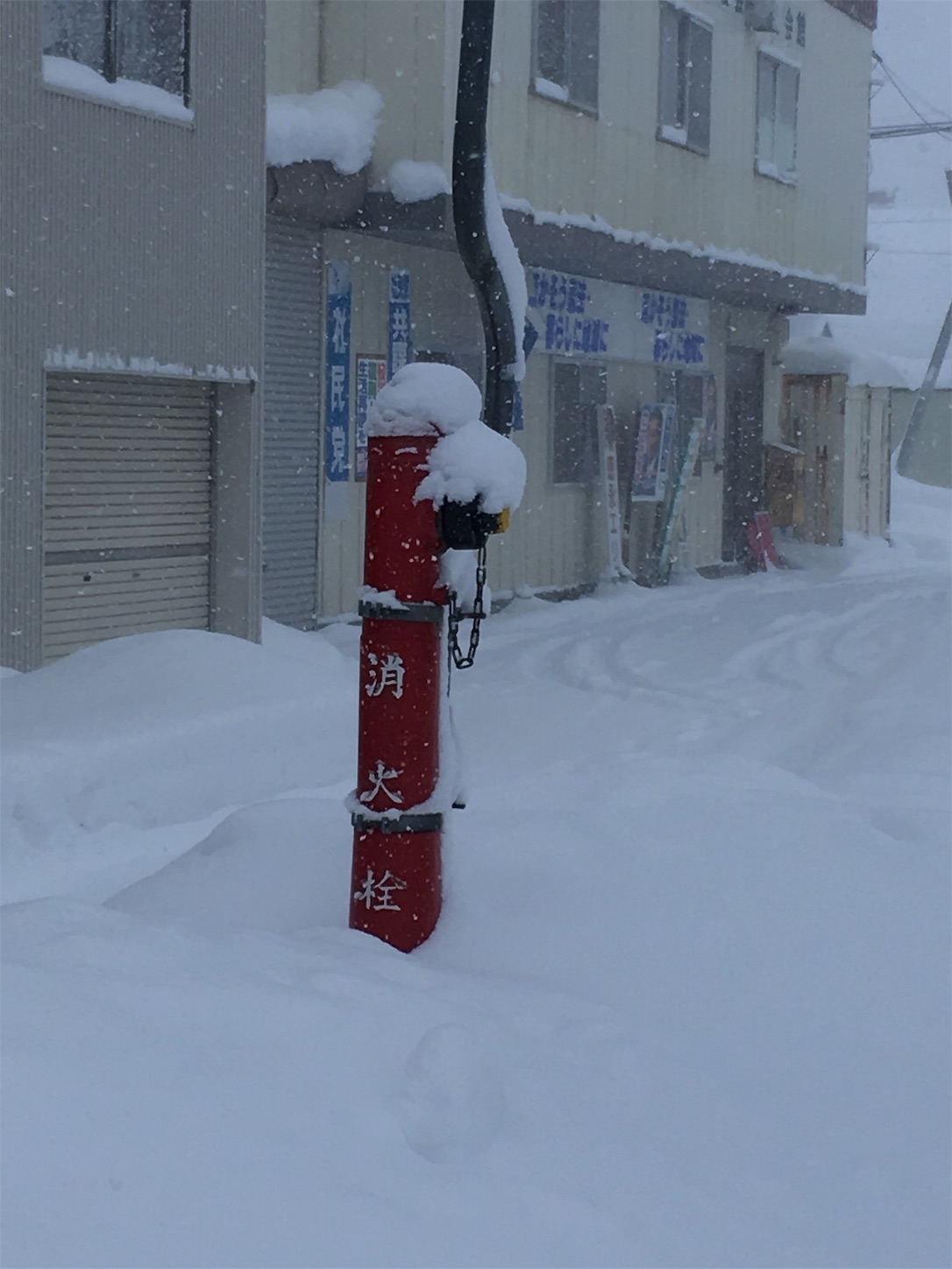 f:id:tokaido233:20190127210045j:image f:id:tokaido233:20190127210045j:image