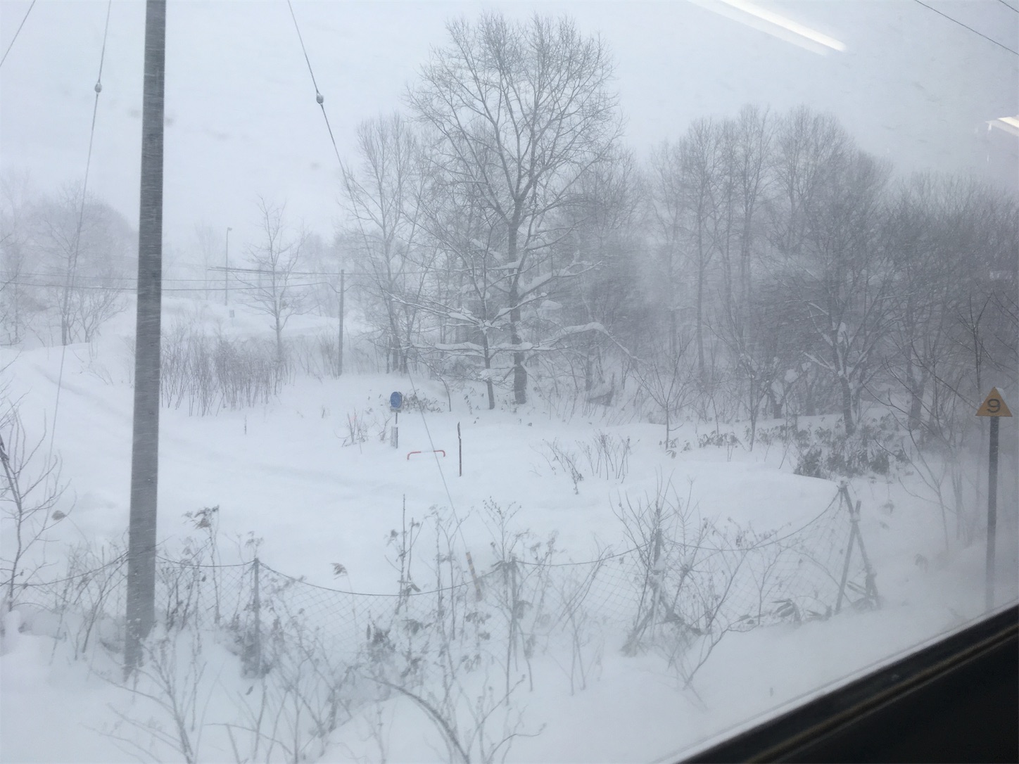 f:id:tokaido233:20190203100302j:image f:id:tokaido233:20190203100302j:image