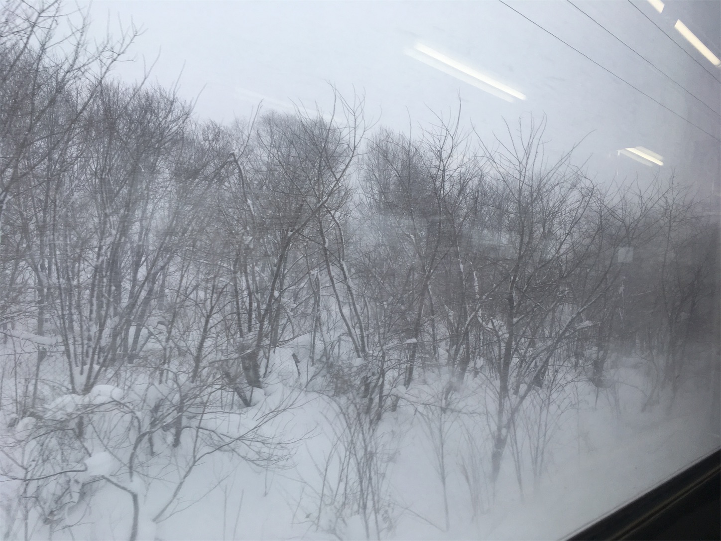 f:id:tokaido233:20190203100848j:image f:id:tokaido233:20190203100848j:image