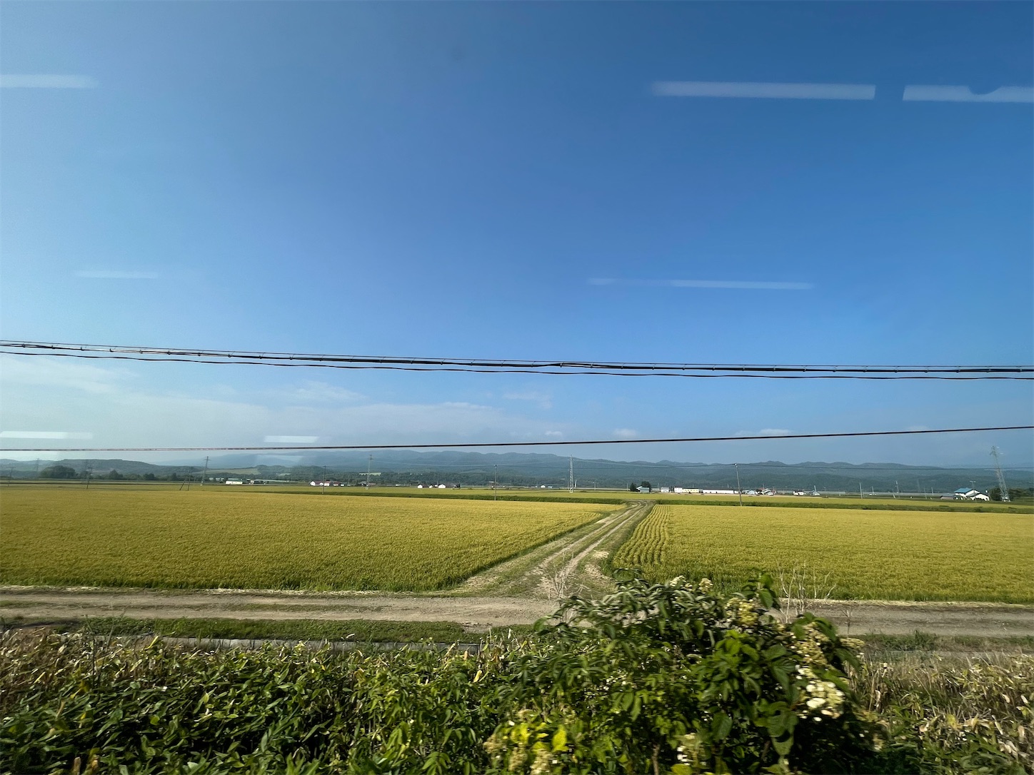 f:id:tokaido233:20210827215739j:image f:id:tokaido233:20210827215739j:image