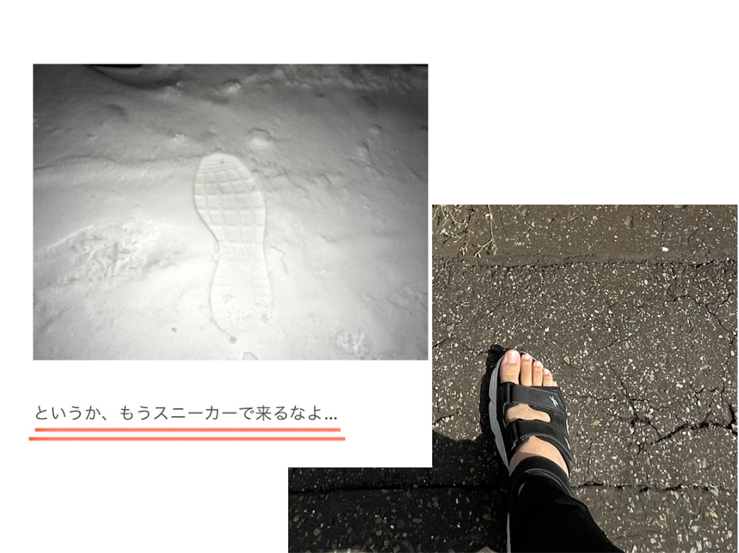 f:id:tokaido233:20210831223020p:image f:id:tokaido233:20210831223020p:image