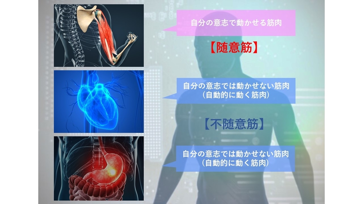 f:id:tokamix:20200713161054j:plain