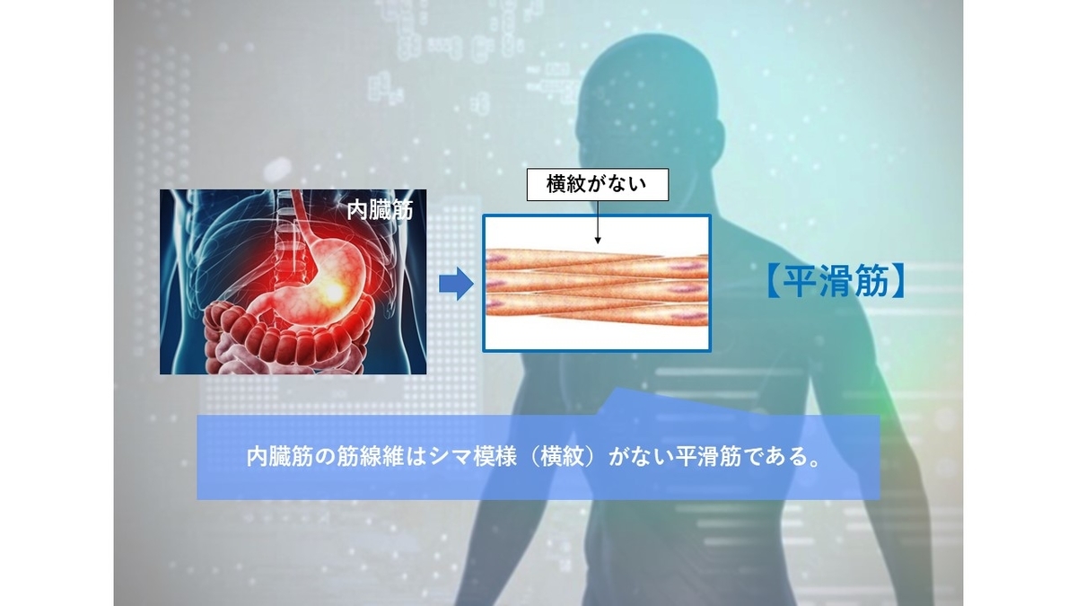 f:id:tokamix:20200918233956j:plain