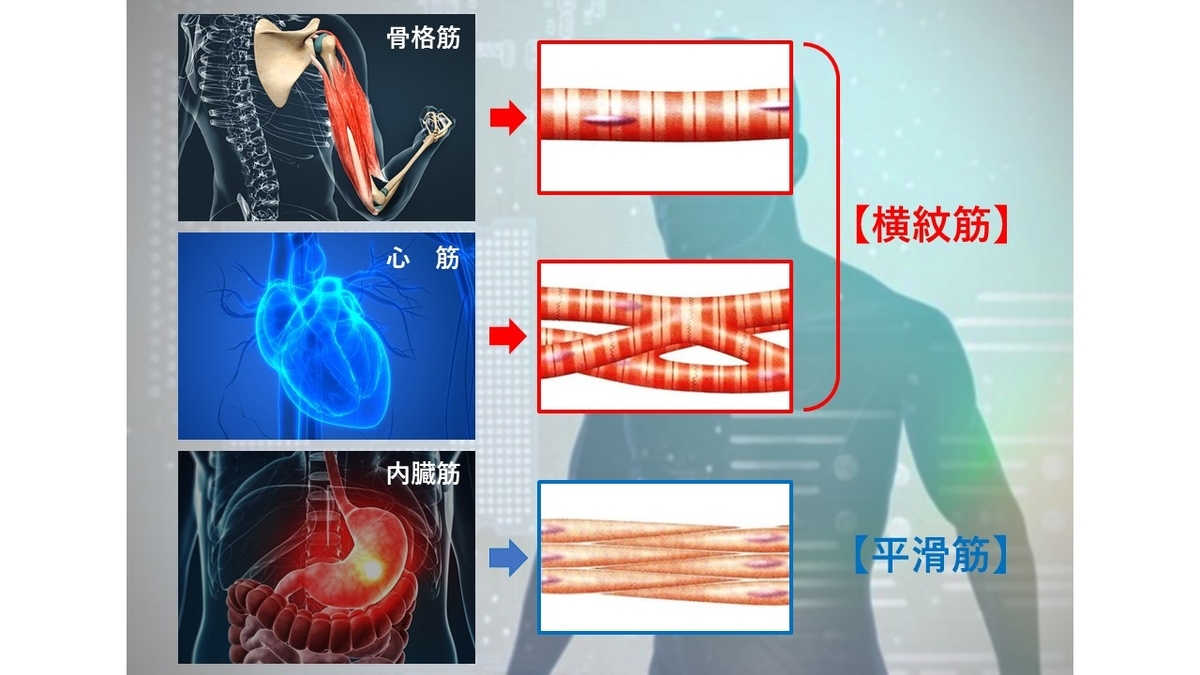 f:id:tokamix:20200918234130j:plain