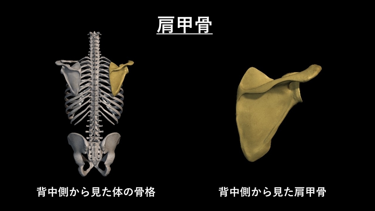 f:id:tokamix:20201122154918j:plain