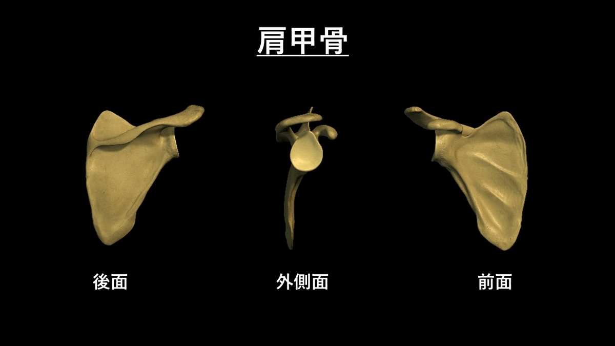 f:id:tokamix:20201122155222j:plain
