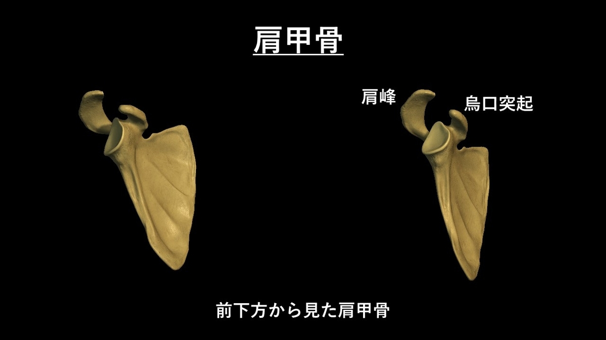 f:id:tokamix:20201122213738j:plain