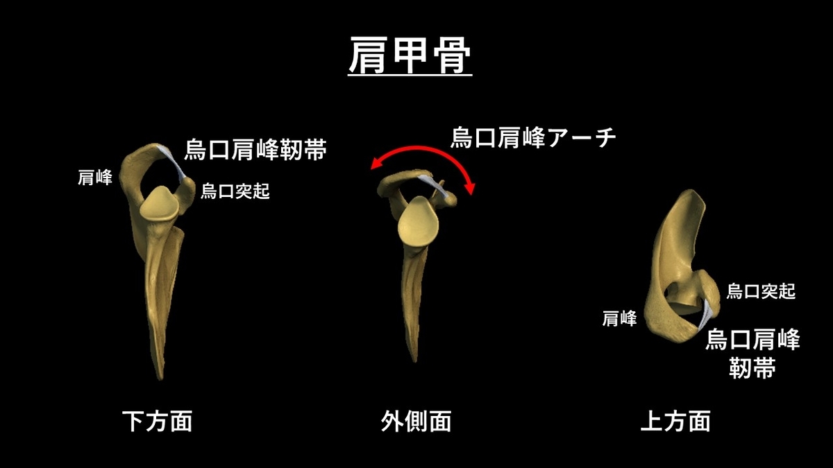 f:id:tokamix:20201122214527j:plain