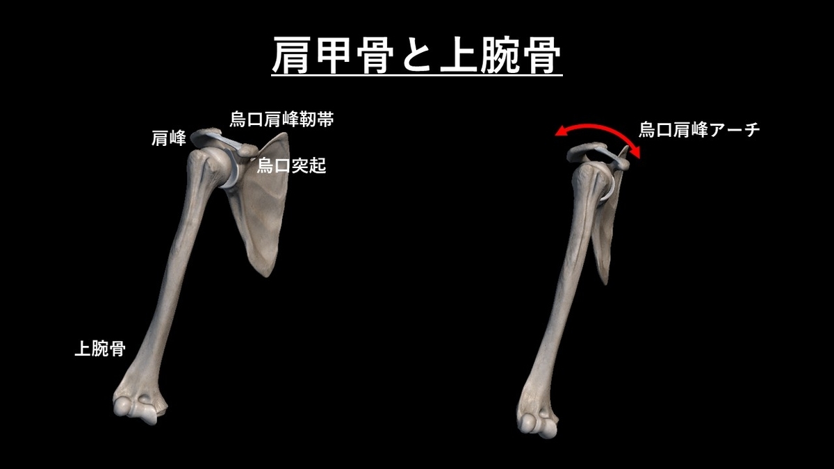 f:id:tokamix:20201122221805j:plain
