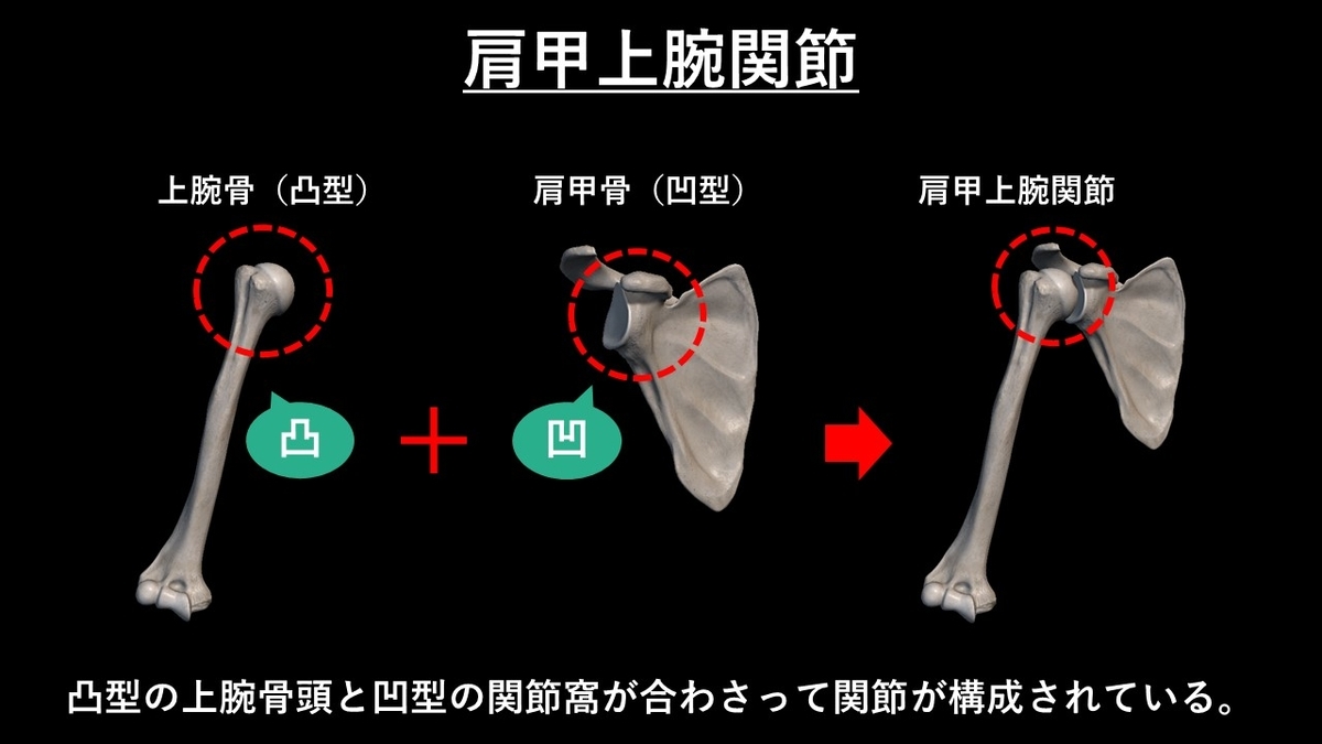 f:id:tokamix:20201209200203j:plain