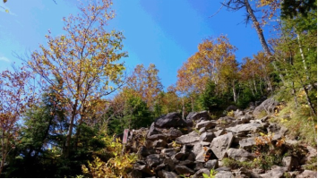 f:id:tokatsukun:20171006221030p:plain