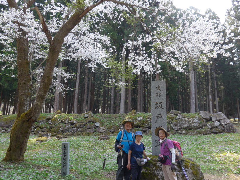 f:id:tokatsukun:20180530171917j:plain