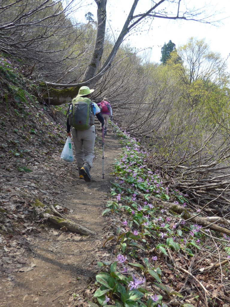 f:id:tokatsukun:20180530173500j:plain