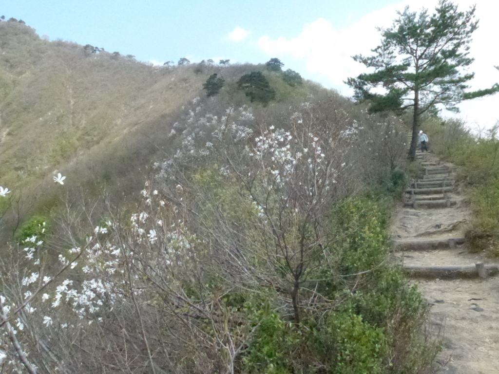 f:id:tokatsukun:20180530175332j:plain