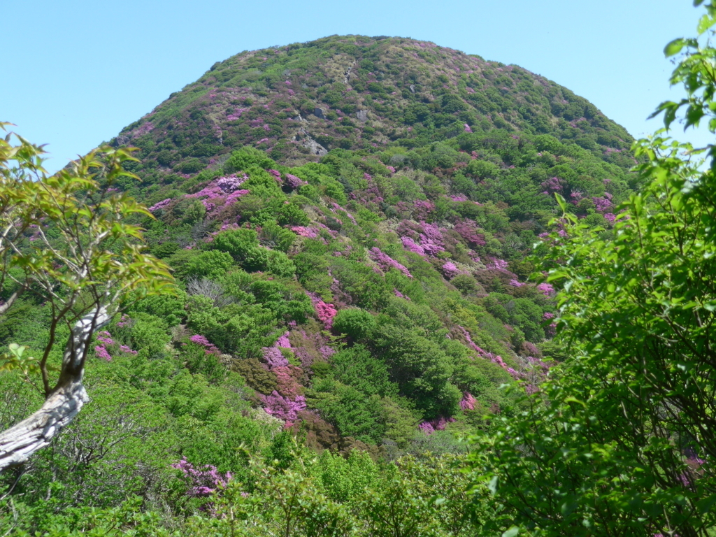 f:id:tokatsukun:20180605012152j:plain f:id:tokatsukun:20180605012152j:plain