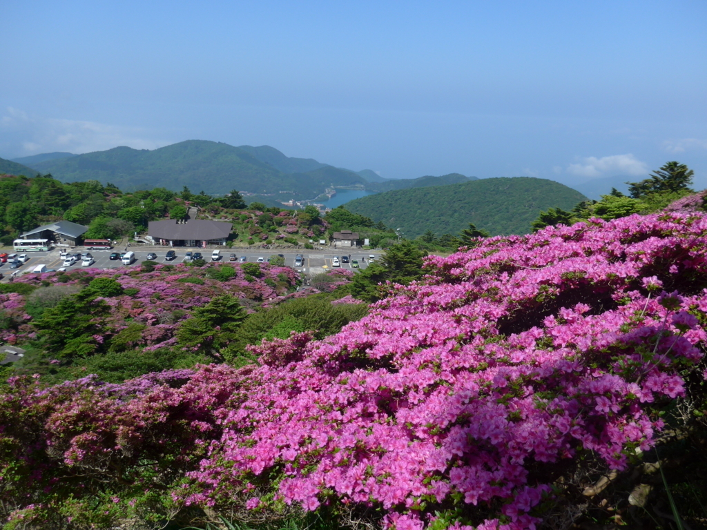 f:id:tokatsukun:20180605012358j:plain f:id:tokatsukun:20180605012358j:plain