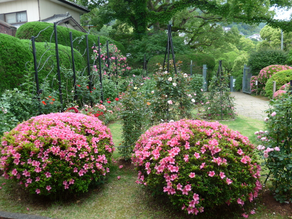 f:id:tokatsukun:20180605013627j:plain f:id:tokatsukun:20180605013627j:plain