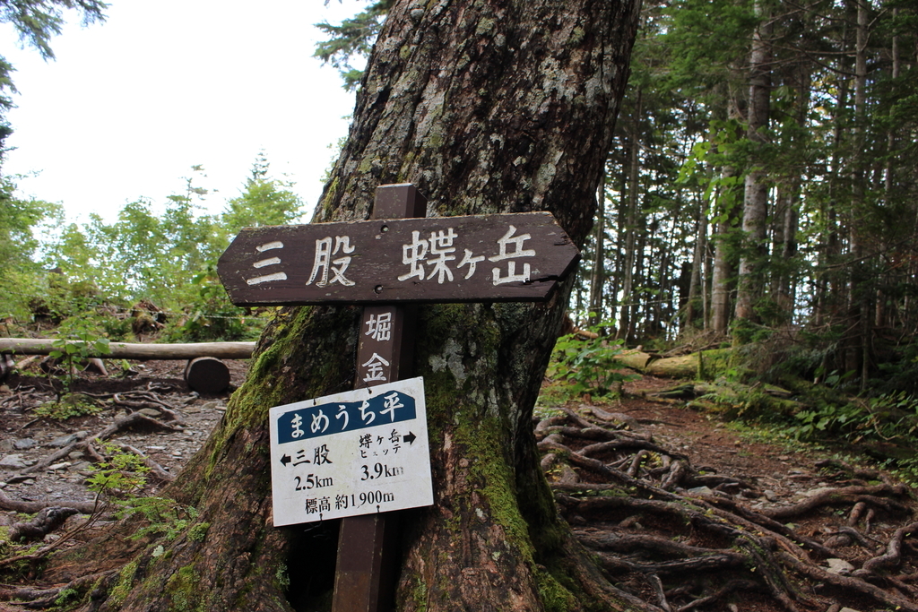 f:id:tokatsukun:20180920230921j:plain