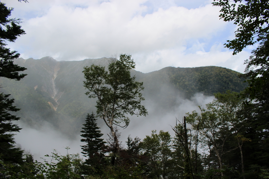 f:id:tokatsukun:20180920230957j:plain