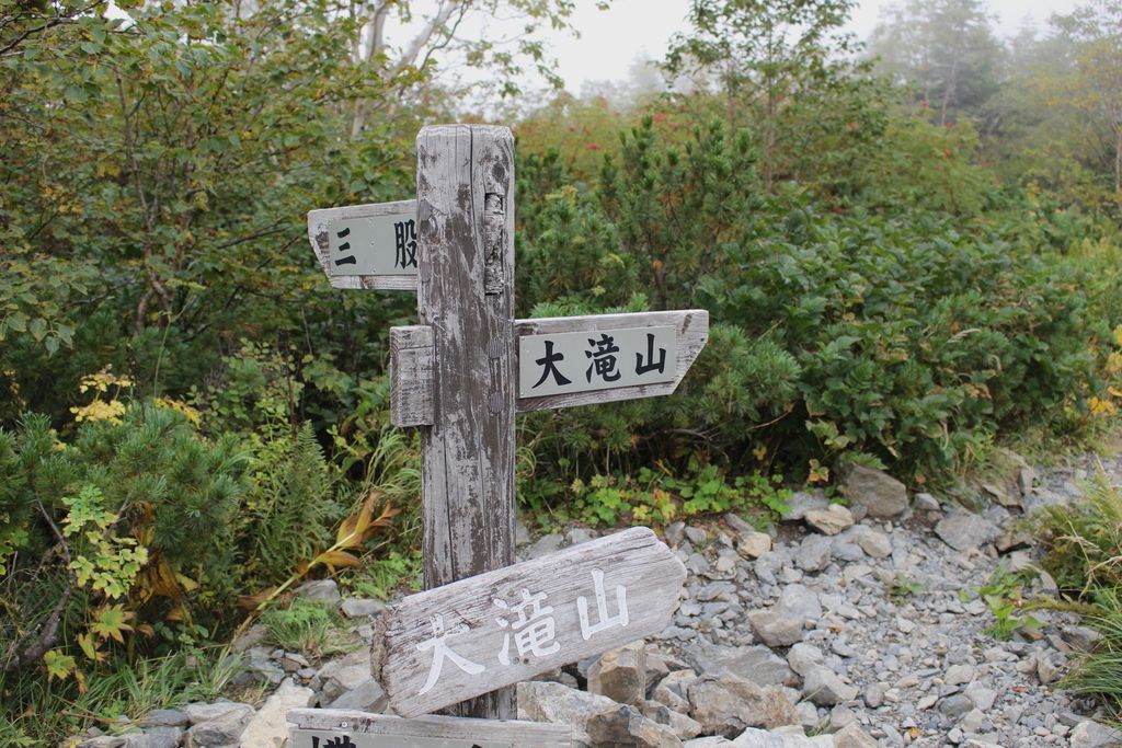 f:id:tokatsukun:20180920231452j:plain