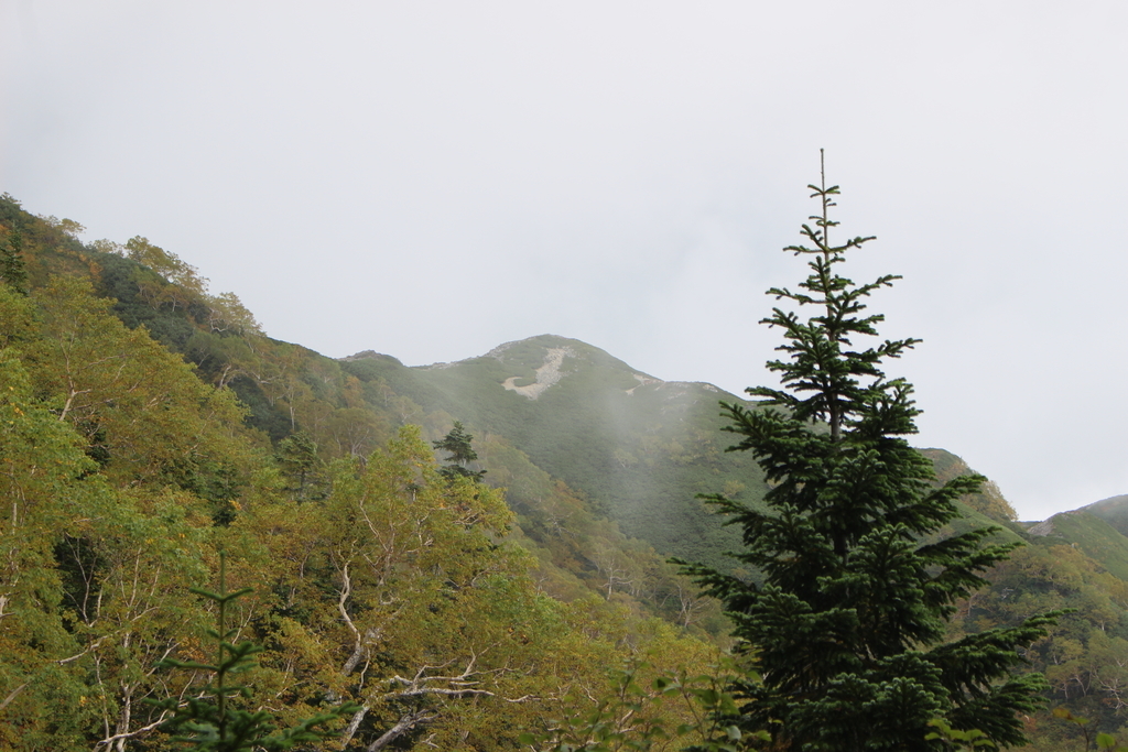 f:id:tokatsukun:20180920231605j:plain