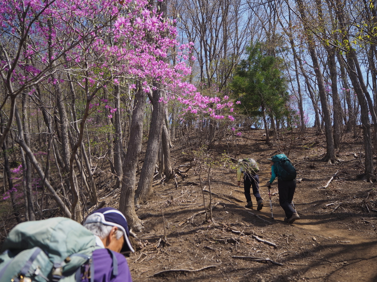 f:id:tokatsukun:20190425115356j:plain