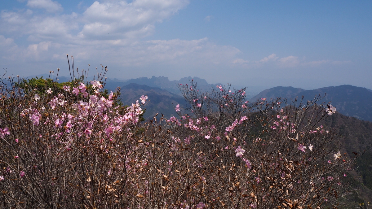 f:id:tokatsukun:20190425120603j:plain