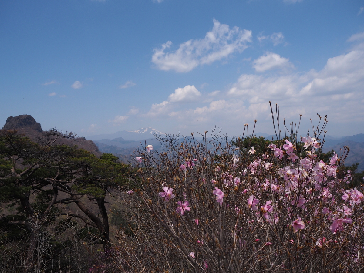 f:id:tokatsukun:20190425121841j:plain