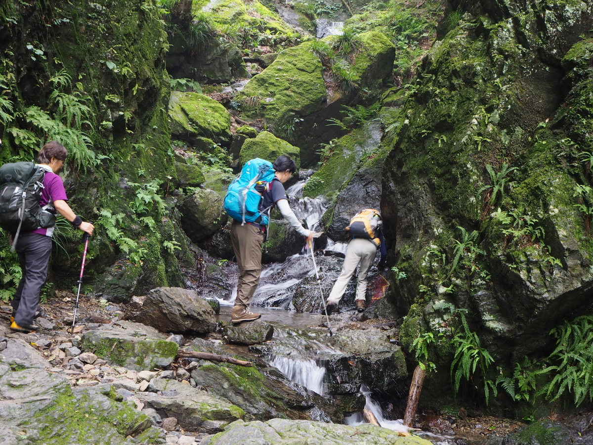 f:id:tokatsukun:20190904152859j:plain