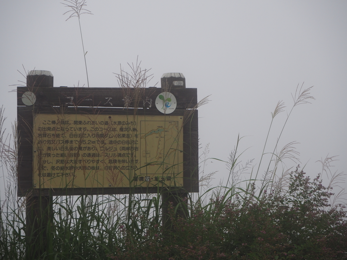 f:id:tokatsukun:20190904154410j:plain