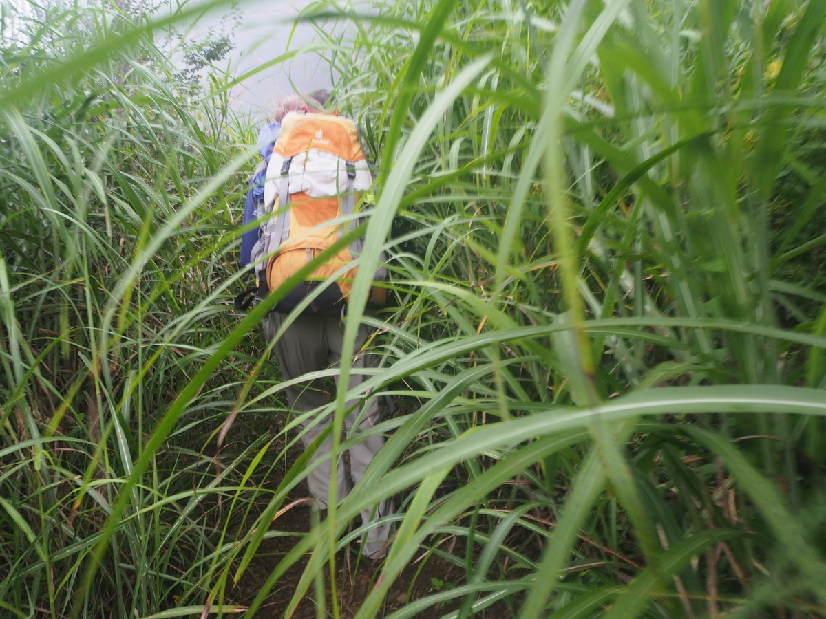 f:id:tokatsukun:20190904154652j:plain