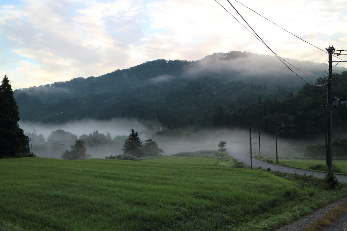 f:id:tokatsukun:20200608161527j:plain f:id:tokatsukun:20200608161527j:plain