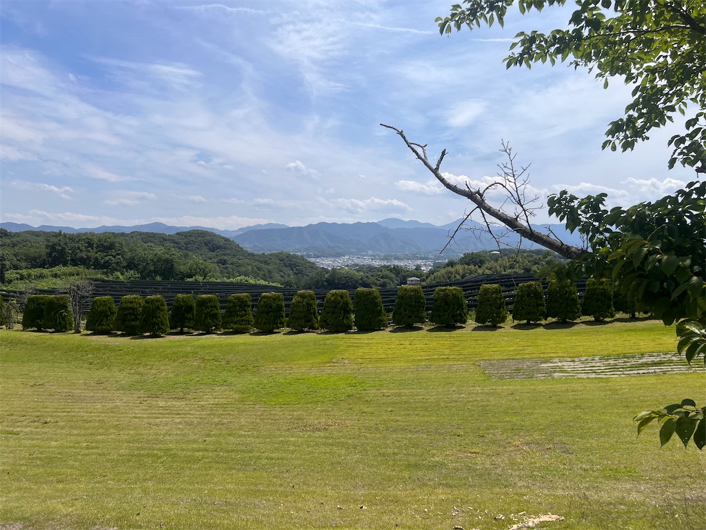 f:id:toki-tsubone:20260722065525j:image f:id:toki-tsubone:20260722065525j:image