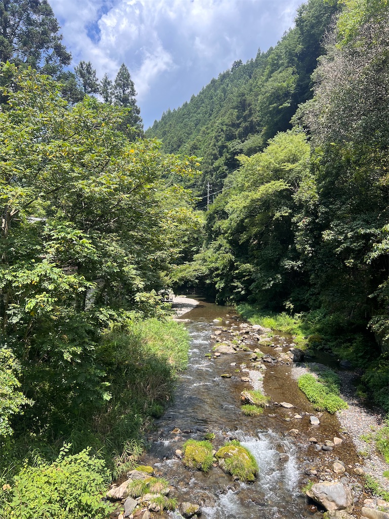 f:id:toki-tsubone:20260727234439j:image f:id:toki-tsubone:20260727234439j:image