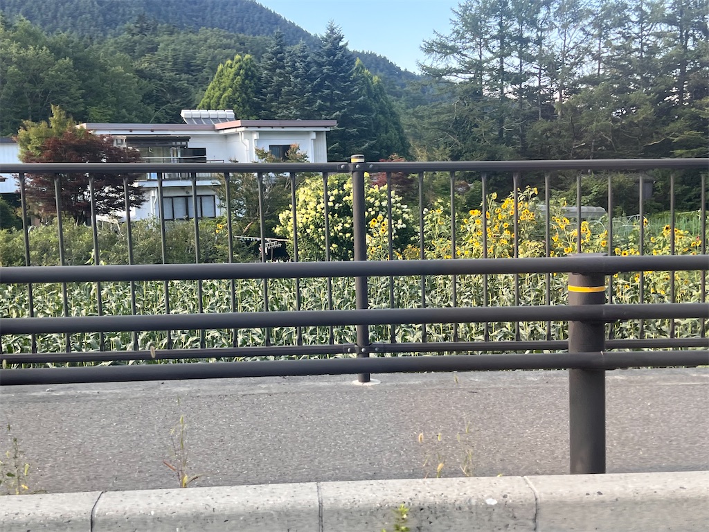 f:id:toki-tsubone:20260807132020j:image f:id:toki-tsubone:20260807132020j:image